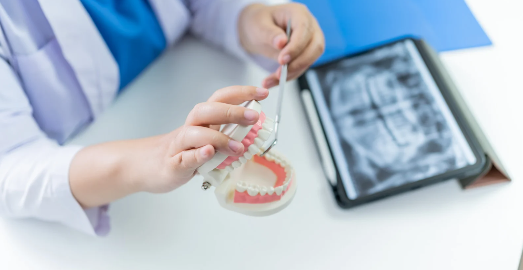 (Dentist holding a dental model and tool with a dental X-ray displayed on a tablet in the background, explaining treatment options.)